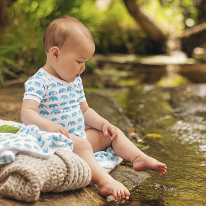 Little Bean Organics – Elephant Short Sleeve Bodysuit