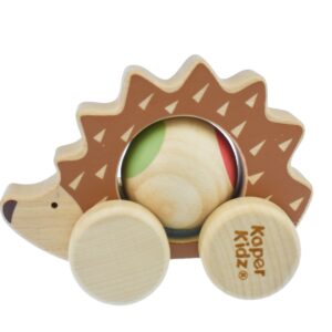 Eco Play Push A Long Spinning Hedgehog